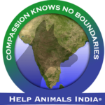 Help Animals India